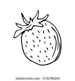 Fresa del vector de contorno negro dibujada a mano libre aislada en un fondo blanco. Berry de verano estacional, ingrediente, elemento natural, jardín. Para etiqueta, pegatina, colorante, mercado.