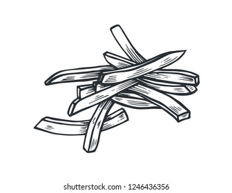 freehand drawn black and white cartoon french fries