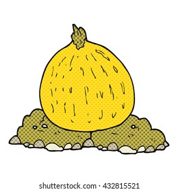 freehand drawn cartoon squash