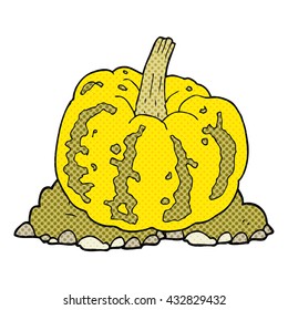 freehand drawn cartoon squash