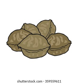 nueces de caricatura dibujadas a mano libre con cáscara