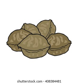 nueces de caricatura dibujadas a mano libre con cáscara
