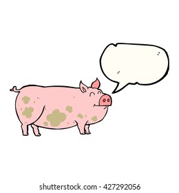 freehand drawn speech bubble cartoon muddy pig