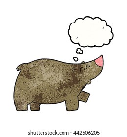 freehand gezeichnete Gedankenblase strukturierter Cartoon-Bär