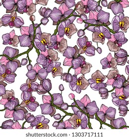 Freehand floral seamless pattern with wild plants, flower spray. Botanical background in hand drawn style. Vector illustration