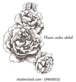 Free-hand flower sketch