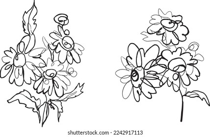 Freehand flowers drawing. Set of chamomile hand drawn vector illustration. Daisy flower ink sketch. Black and white wildflower. One line drawn flowers.