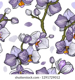 Freehand flowers seamless pattern. Botanical background. Hand drawn. Vector illustration