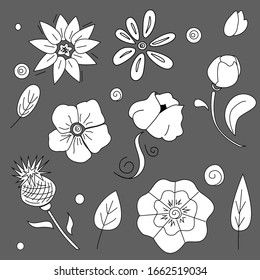 Freehand flowers  set. Ink, pencil, the leaves and flowers  isolate. Line art transparent background. Hand drawn nature painting. Collection flowers for invite. Vector arrangements for greeti