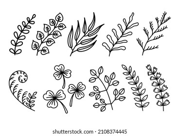 Freehand Handdrawn Botanical Leaves Doodle Set Pack. Premium Vector.