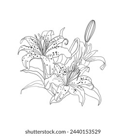 Freehand illustration of a bouquet of tiger lilies isolated on a white background. Blank for designers, elements, logo, icon, wedding