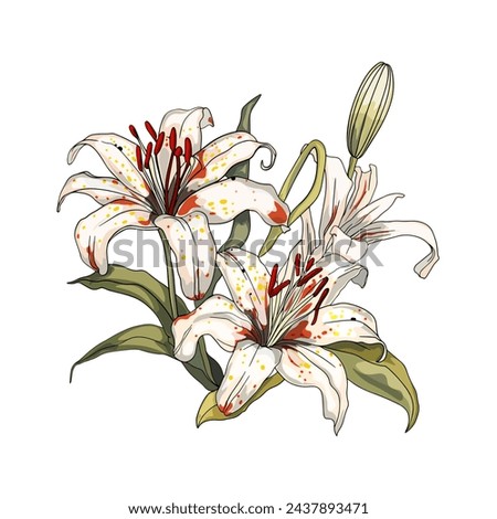 Freehand illustration of a bouquet of tiger lilies isolated on a white background. Blank for designers, elements, logo, icon, wedding