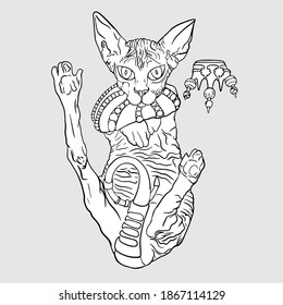 Freehand illustration Sphynx cat, crown,. Royal cat blank for designers, logo, icon fashion illustration