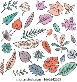 Freehand leaves and fern pastel color illustrations. Tropical foliage and exotic palm doodles. Autumn maple leaf fall design element. Nature greenery plants sketch. Pretty olive branch set.