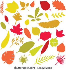 Freehand leaves and fern red and orange color illustrations. Tropical foliage and exotic palm doodles. Autumn maple leaf fall design element. Nature greenery plants sketch. Pretty olive branch set.