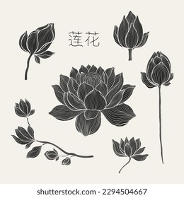 Freehand of a lotus set with thin graceful lines . Lotus flower luxury design template poster. The inscription in Chinese hieroglyphs means - Lotus. Vector illustration.