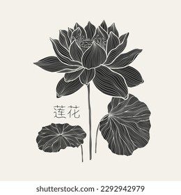 Freehand of a lotus with thin graceful lines . Lotus flower luxury design template poster. The inscription in Chinese hieroglyphs means - Lotus.Vector illustration.