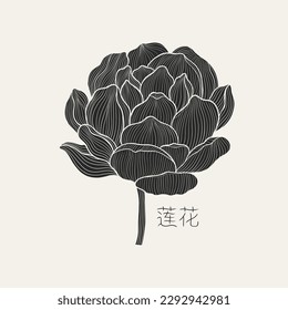 Freehand of a lotus with thin graceful lines . Lotus flower luxury design template poster. The inscription in Chinese hieroglyphs means - Lotus. Vector illustration.