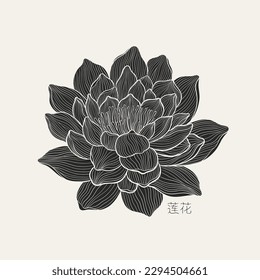 Mano libre de un loto con delgadas líneas elegantes. Afiche de la plantilla de diseño de lujo de flores de Lotus. La inscripción en los jeroglíficos chinos significa: ilustración de Lotus.Vector.