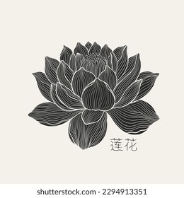 Freehand of a lotus with thin graceful lines . Lotus flower luxury design template poster. The inscription in Chinese hieroglyphs means - Lotus.Vector illustration.