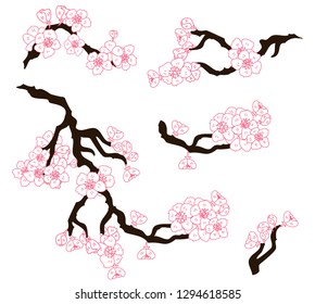 Freehand Sakura flower vector set, Beautiful line art Peach blossom isolate on white background