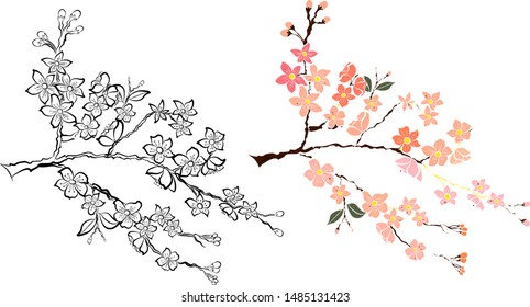 Freehand Sakura flower vector set, Beautiful line art Peach blossom isolate on white background.Traditional symbol of spring in japan.graphic cherry in the shape of circle for backdrops.
