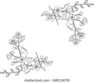Freehand Sakura flower vector set, Beautiful line art Peach blossom isolate on white background.Traditional symbol of spring in japan.graphic cherry in the shape of circle for backdrops.