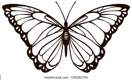 freehand simplified stylized lovely butterfly vector outline