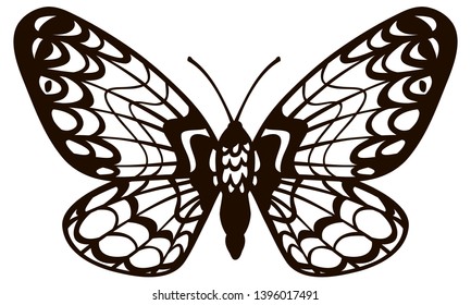 freehand simplified vector contour stylized butterfly moth cobweb
