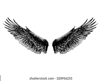 freehand sketch, doodle hand drawn of angel wings