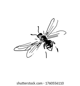 Freehand sketch of a flying bee, drawn in black pen and digitized, isolated on white background.