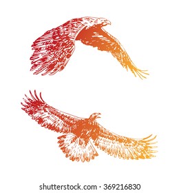 Freehand sketch of flying eagle. Hand drawn on white background. Vector illustration
