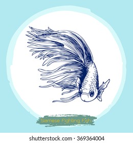 freehand sketch illustration of Betta splendens, Siamese fighting fish doodle hand drawn