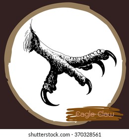 freehand sketch illustration of eagle claw, hawk bird doodle hand drawn