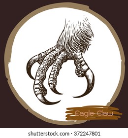 freehand sketch illustration of eagle claw, hawk bird doodle hand drawn