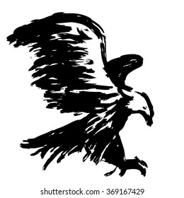 freehand sketch illustration of eagle, hawk bird doodle hand drawn