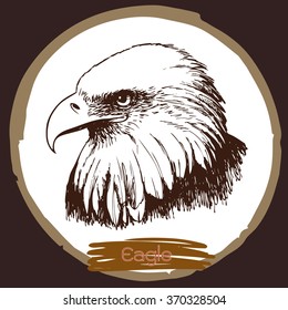 freehand sketch illustration of eagle, hawk bird doodle hand drawn