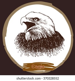 freehand sketch illustration of eagle, hawk bird doodle hand drawn