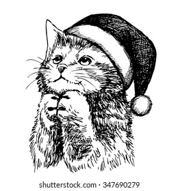 freehand sketch illustration of kitten cat with christmas hat, doodle hand drawn, christmas pet