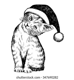 freehand sketch illustration of kitten cat with christmas hat, doodle hand drawn, christmas pet