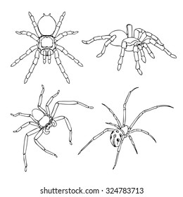 freehand sketch illustration, set of spider outline, doodle hand drawn