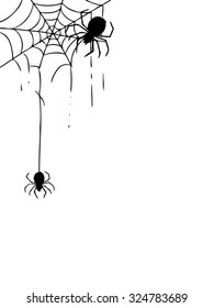 freehand sketch illustration of spider and web, doodle hand drawn