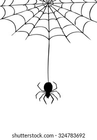 freehand sketch illustration of spider and web, doodle hand drawn