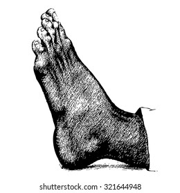 freehand sketch of left human foot hand drawn on white background
