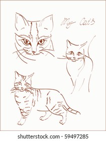 freehand sketchs of domestic cats