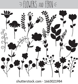 Freehand summer ferns and flowers vector doodles. Pretty roses and violet sketch. Laurels branches and leafs drawing. Daisy and sunflowers collection. Spring botanical plants.