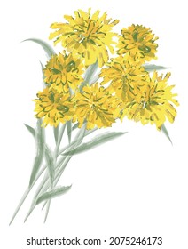 Freehand textured drawing of bouquet yellow watercolor flowers