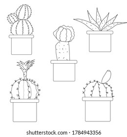 Freehand vector drawing five cute cactus in pots,Vector illustration. doodles