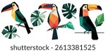 Freehand vector set minimalistic abstract illustration of toucans, monstera leaves, a wild African botanical plants using simple geometric shapes. Suitable for printing, wallpaper. Hand drawn toucanet