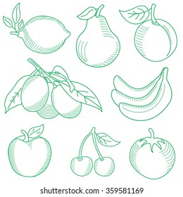 Freehand vector sketches